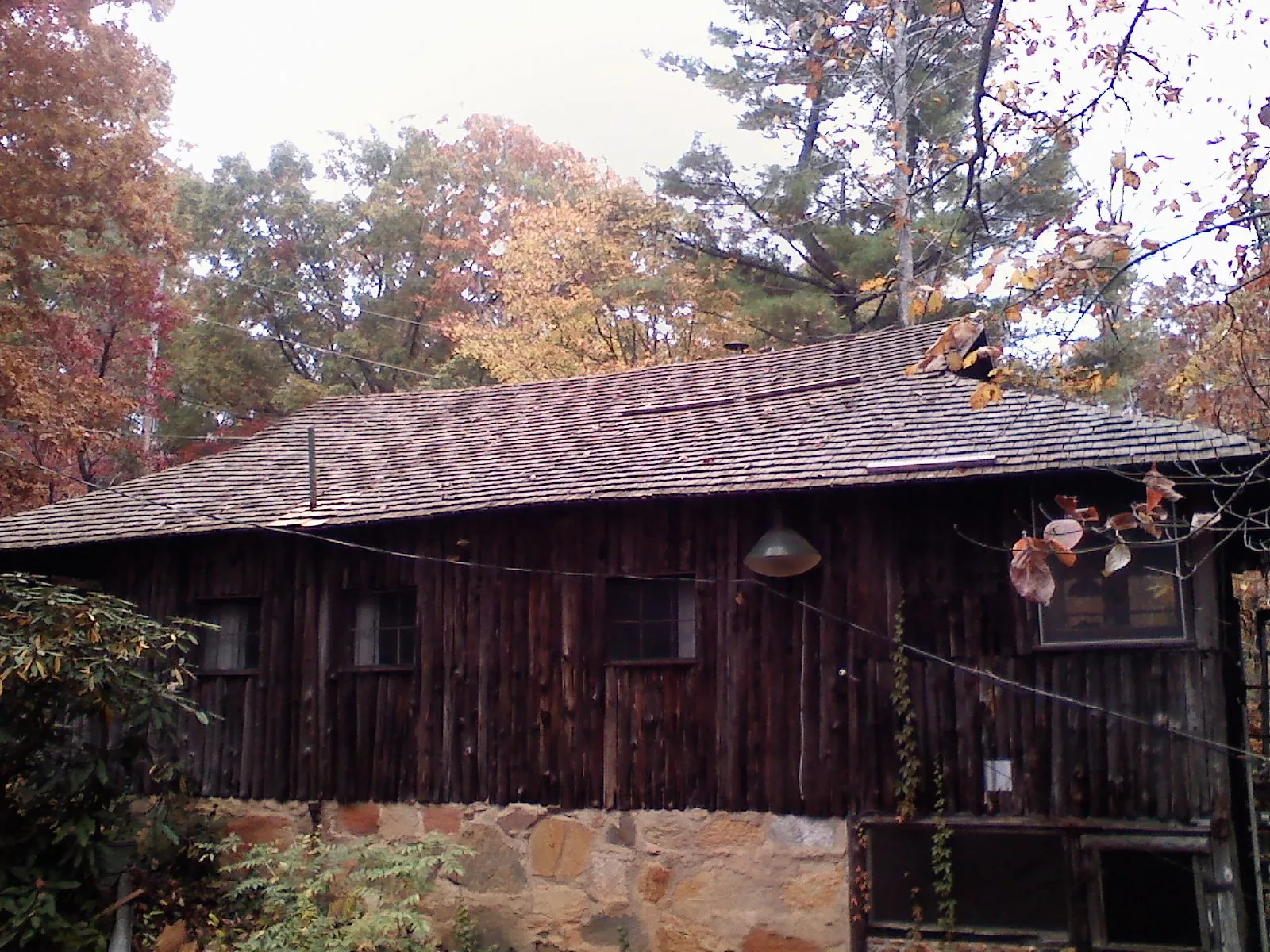 Weathered wood shake roof on a rustic board sided cabin in Morris